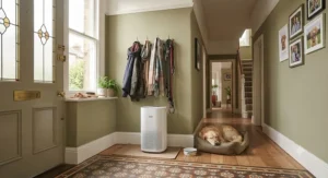 Pet-friendly air purifier for odours effective at removing pet smells in a busy hallway near an entrance.