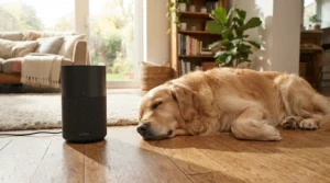 An air purifier for allergies and asthma capturing pet hair and dander in a typical London living room