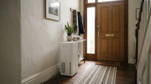 A slim HEPA UV-C air purifier combination fitted neatly into a narrow hallway entrance of a Victorian terraced home.